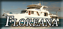 Floreana button